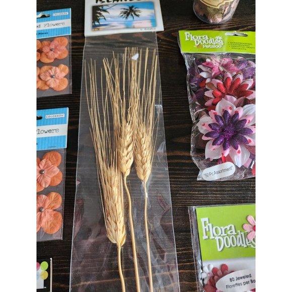 LOT - Journal Scrapbook Embellishments Flowers & Plants 3D Retired New #25 - Picture 5 of 12